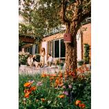 Linnupesakast „Cosy bird house“ (Toscana punane), 18 cm