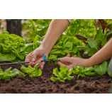 Gardena väikese pindalaga rida-pihustusotsik