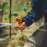 Fiskars universaalsed käärid, 21 cm 1075031