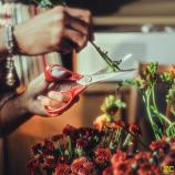 Fiskars universaalsed käärid vasakukäelistele, 21 cm 1075035