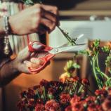 Fiskars universaalsed käärid vasakukäelistele, 21 cm 1075035