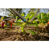 Gardena aiakäpp PureLine FSC® 100 %