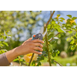 Gardena aiakäärid PremiumCut Flex, kahe teraga, aiakäärid, rohelise puidu lõikamiseks, 24 mm