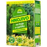 Orgamin thuja ja küpress