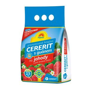Cererite koos guanoga maasikatel