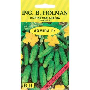Kurk Holman Admira F1 hr