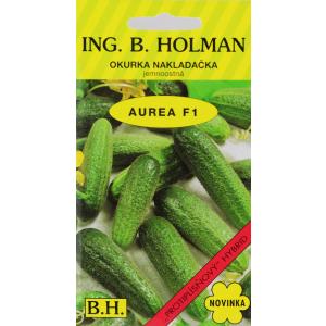 Kurk Holman Aurea F1 hu