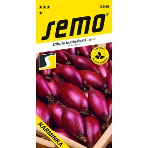 Kevadise sibula seemned Karmiinpunane ovaalne 1,5g