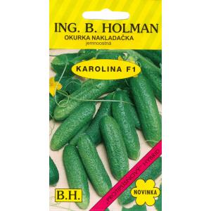 Kurk Holman Karolína hu F1