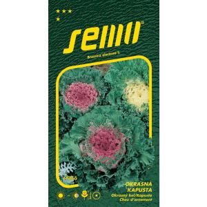 Seed Kale dekoratiivne värvisegu 0,5g