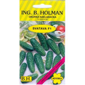 Kurk Holman Svatava F1 hr