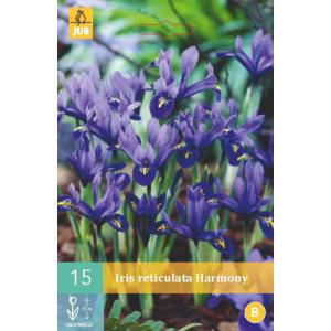 Iiris Harmony 'C'