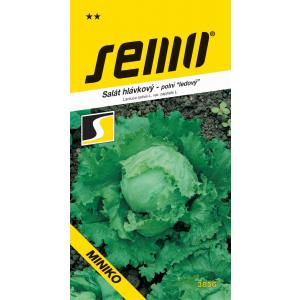 Seeme Jääsalat Miniko põllu väiksem 0,4g
