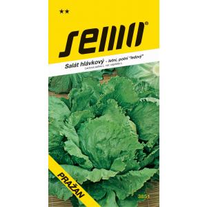 Seeme Jääsalat Praha põldsalat 0,6g