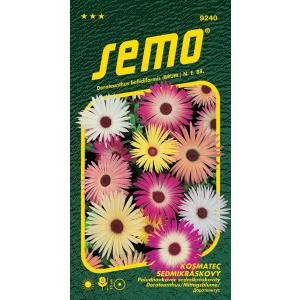 Seed Daisy segu 0,5g