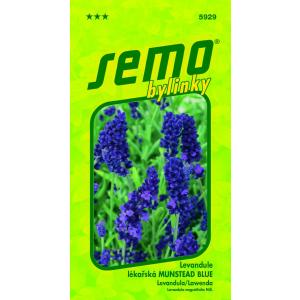 Lavendli seemned Munstead blue 0,4 g