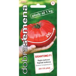 Head seemned Tomato Gigantomo F1 MAXI 10s