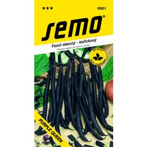 Seed Bush Beans Purple Purple Queen 10g