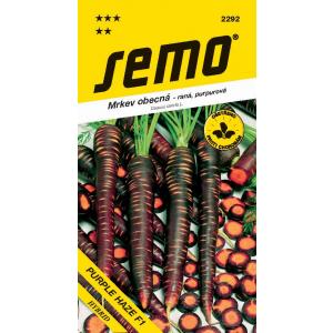 Semo Carrot Purple Haze F1 porgand pooloranž lilla 350s