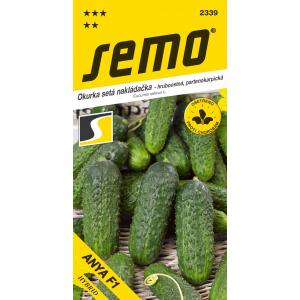 Seemned Kurk Anya F1 parthenokarpiline 1,5g