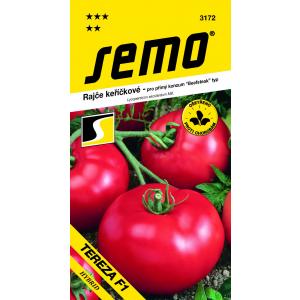 Tomatipõõsas Tereza F1 40s seemnepõõsas