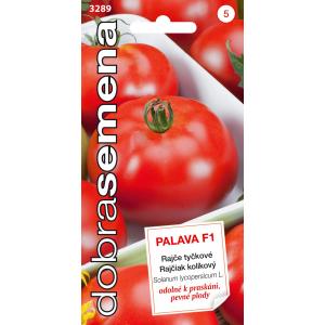 Head seemned Tomato Palava F1 20s