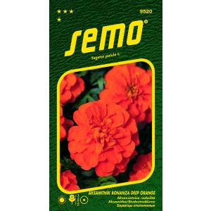 Semo Velvetleaf Bonanza Deep Orange 30s