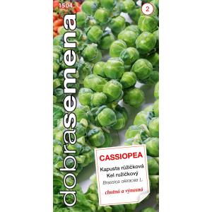 Head seemned Kale Cassiopea 0,7g