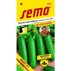 Semo kasvuhoone kurk Baby F1 kr 10s