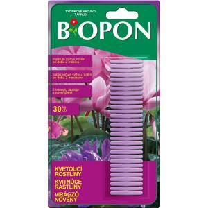 Õied Bopon õitsevad taimed