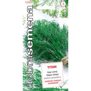 Head seemned Dill lõhnav Titan 4g