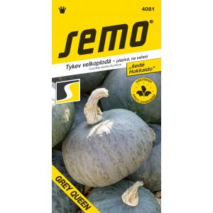 Semo Pumpkin tüüp Hokkaido Grey Queen F1 7s