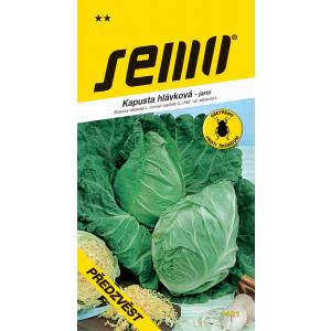 Seed Kale varakult varakult 1g