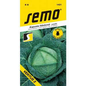Seed Kale Vertus 2 hilja 1g
