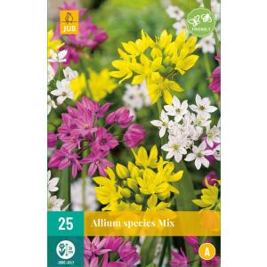Küüslauk Allium Species mix "B" (Küüslauguliikide segu "B")