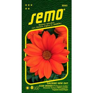 Semo Gazania radiant New Day Clear Orange F1 15s