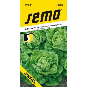Seemnesalat aastaringselt Bremex Profi 0,4g