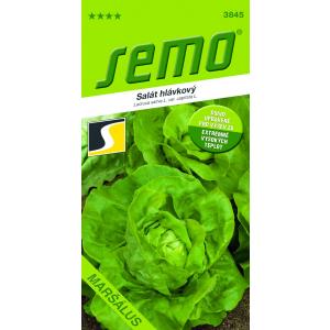 Seemnesalat aastaringselt Marshallus Profi field 0,5g