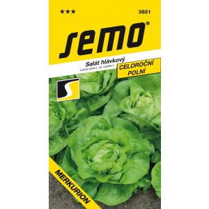 Seemnesalat Merkurion Profi põllu 0,6g