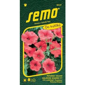 Seemned Petunia overhanging Velvet Salmon Shades F1 tüüp Surfinia 10p