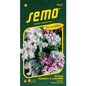 Petunia suureõieline seemne Tervitused Jaroměř 50p