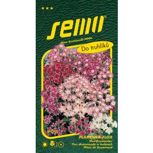 Flox Clematis Cuspidata seemnete segu 0,3g