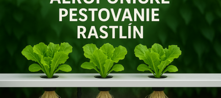 Aeropooniline kasvatamine