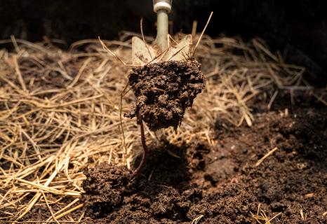 Stlačíte v marci hrsť pôdy a vytvorí sa pevná, lepkavá guľa. Čo to znamená?